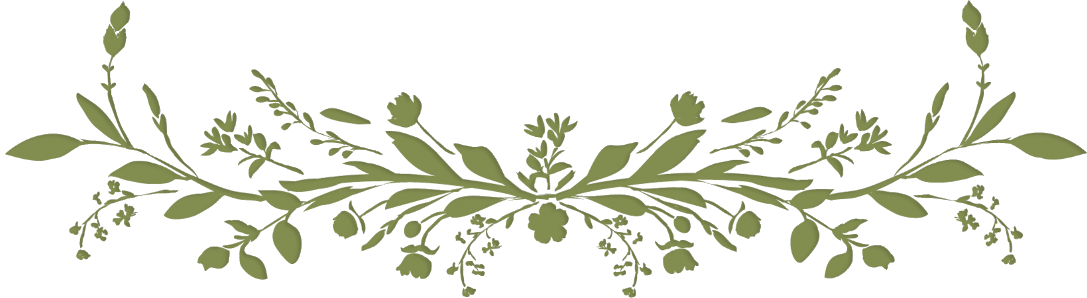 Hand Drawn Image
