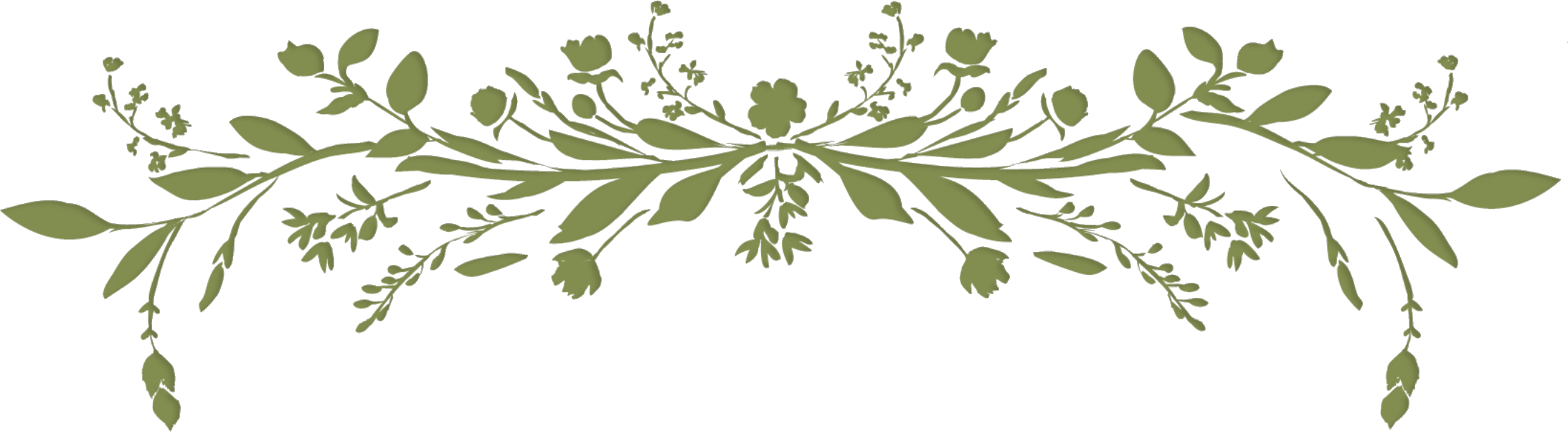 Hand Drawn Image